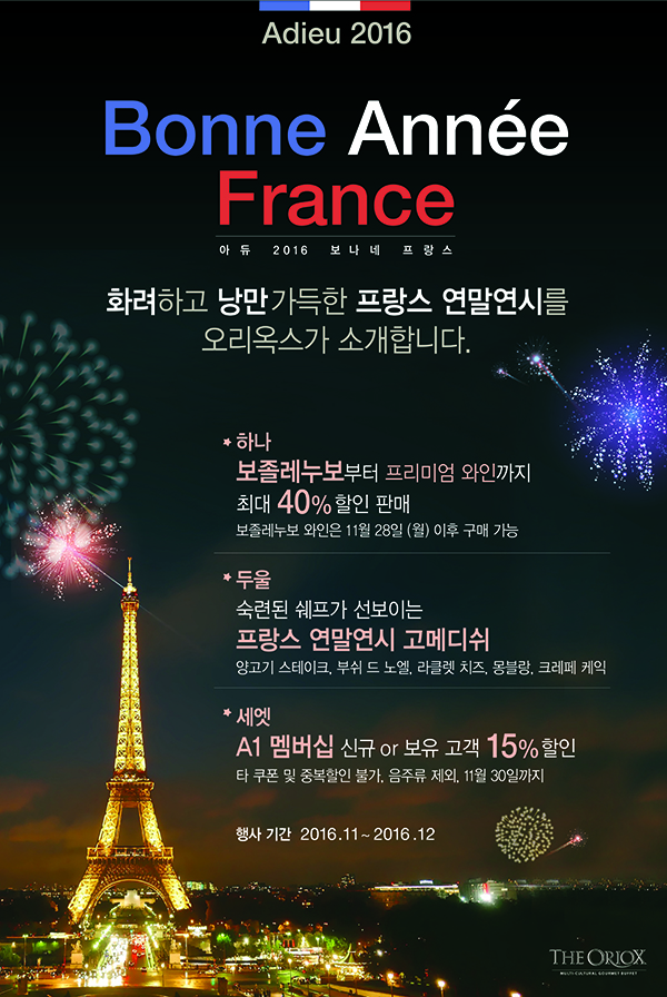 Adieu 2016! Bonne Annee France!