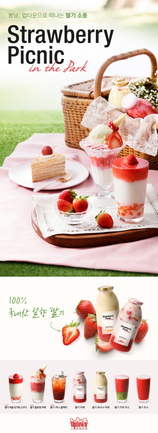 Strawberry Picnic in the Park